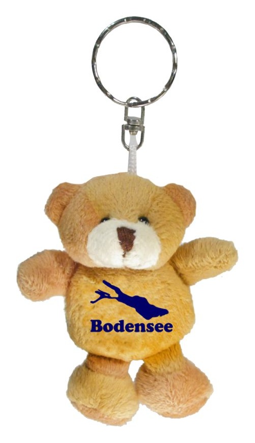 DZ-0/5195/63  SK Pl.B�r beige mit Bodensee