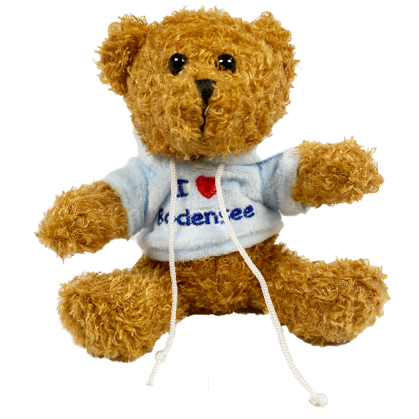 Teddybär I Love Bodensee